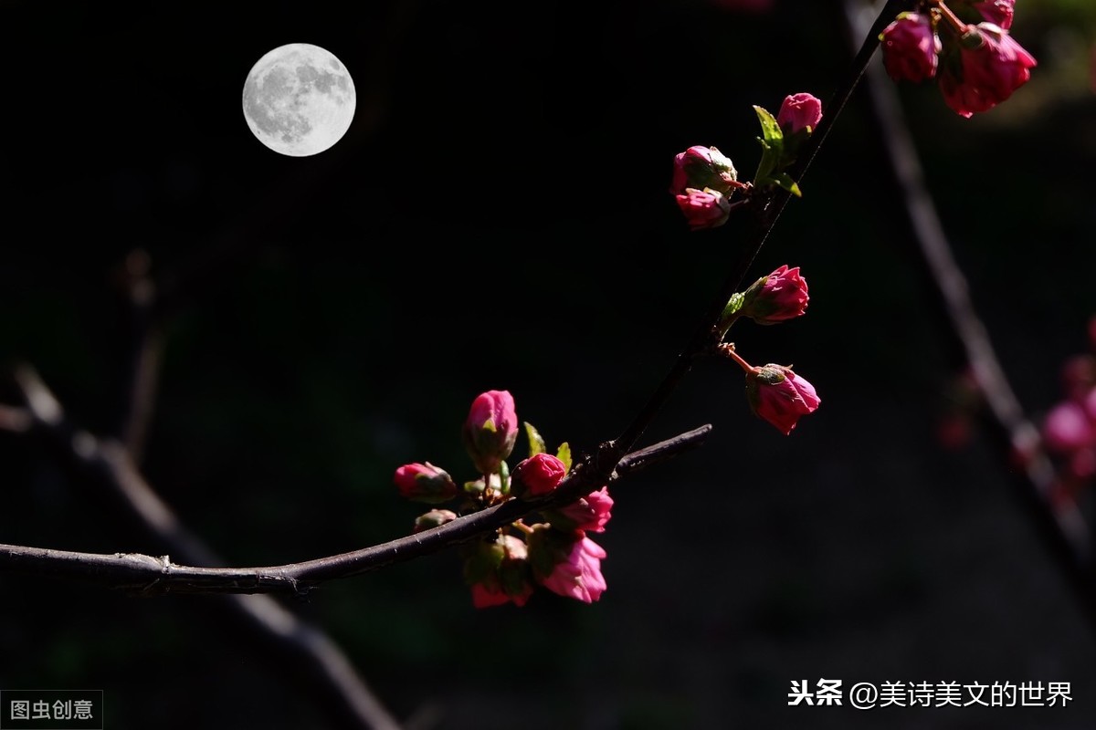 中秋夜，苏轼苏辙各写首《水调歌头》，一首千古绝唱一首感人肺腑