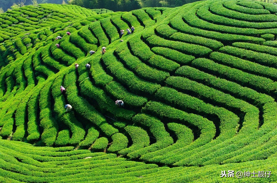 台湾有哪些风景名胜,