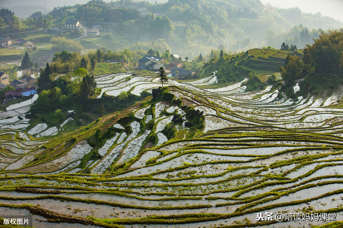 关于六一儿童节的好词好句、范文、诗歌汇总