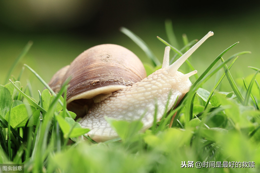 ​做人，宁愿装傻，切勿自作聪明！