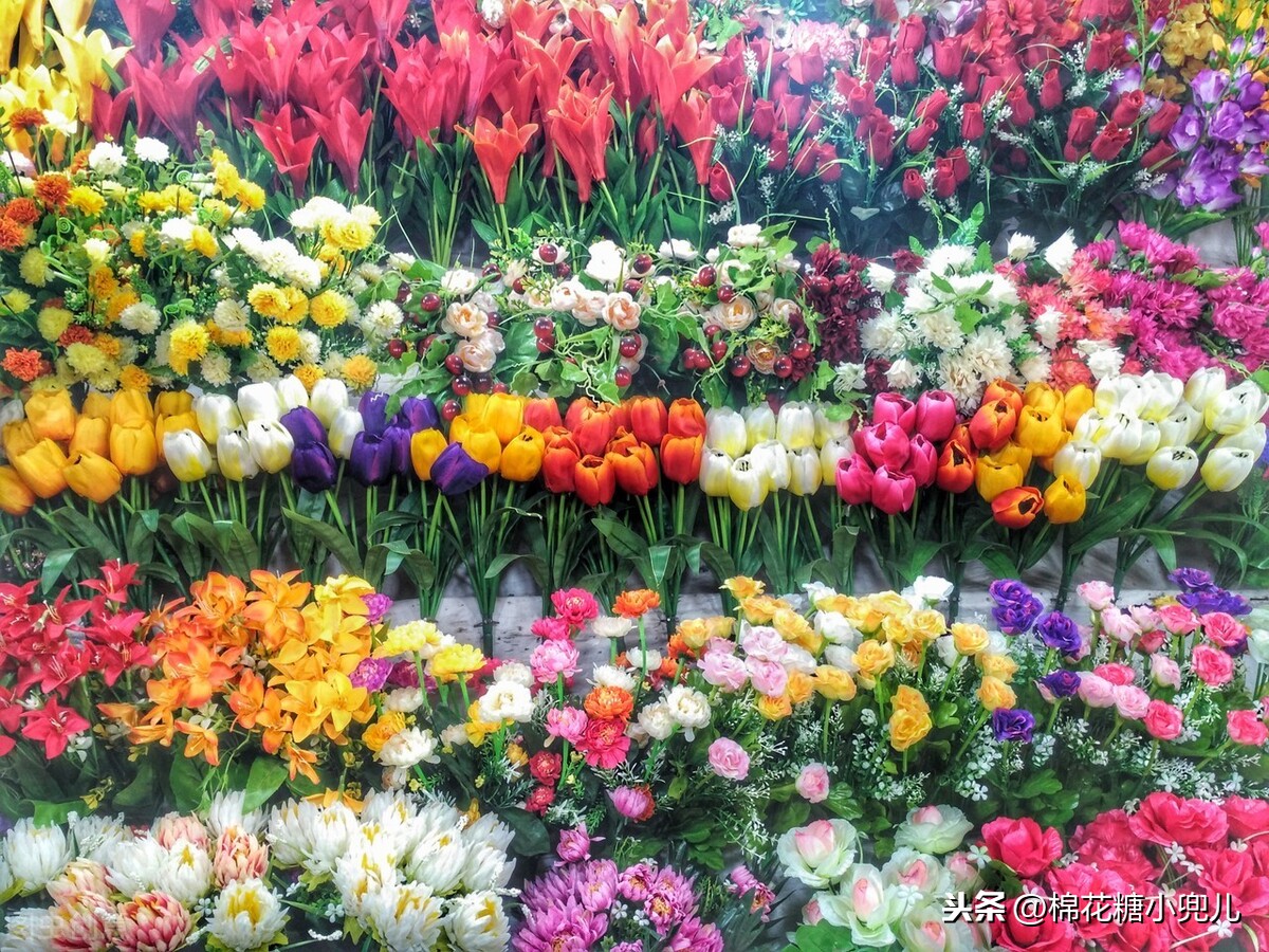 北京花卉市场（北京最大的绿植批发市场）