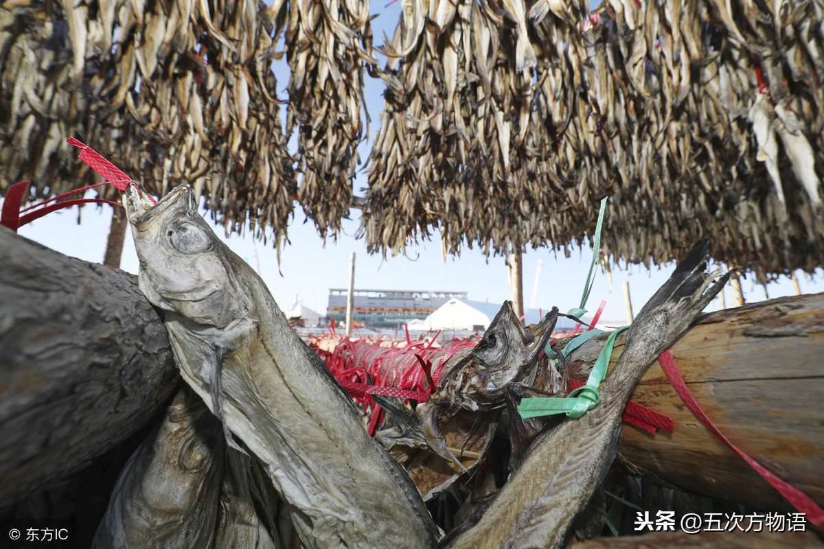 明太鱼是海鱼还是淡水鱼（各种常见鳕鱼简介和食用禁忌）