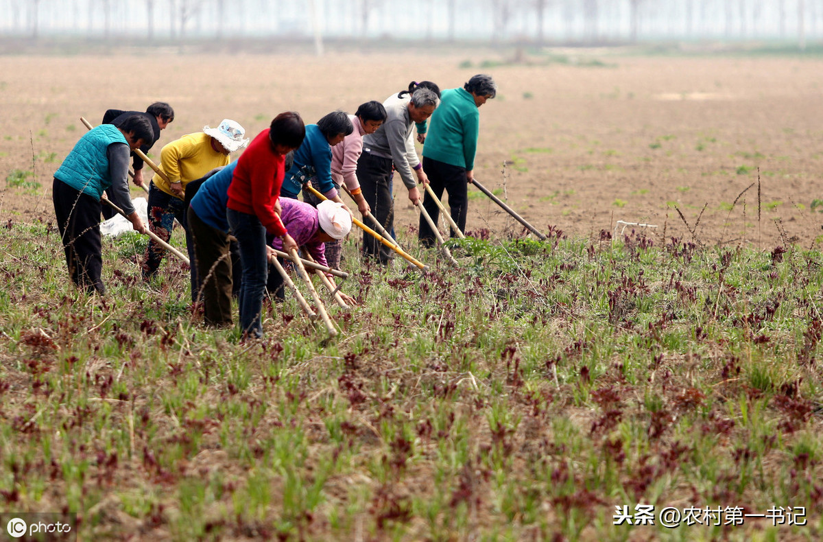 农村承包地怎么申请贷款？条件和流程是怎样的？