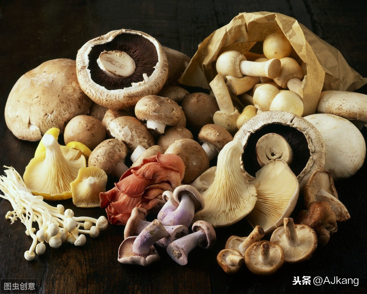 藥蘑菇是什么（藥用蘑菇被發現可為心臟病提供天然療法?）