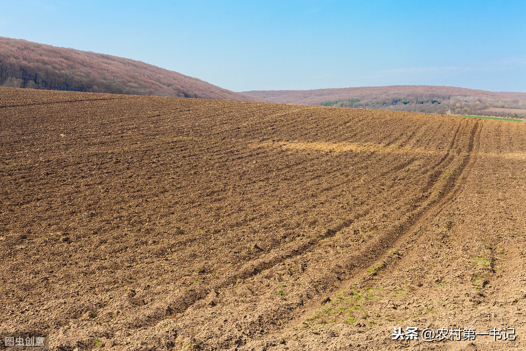 农村承包地怎么申请贷款？条件和流程是怎样的？