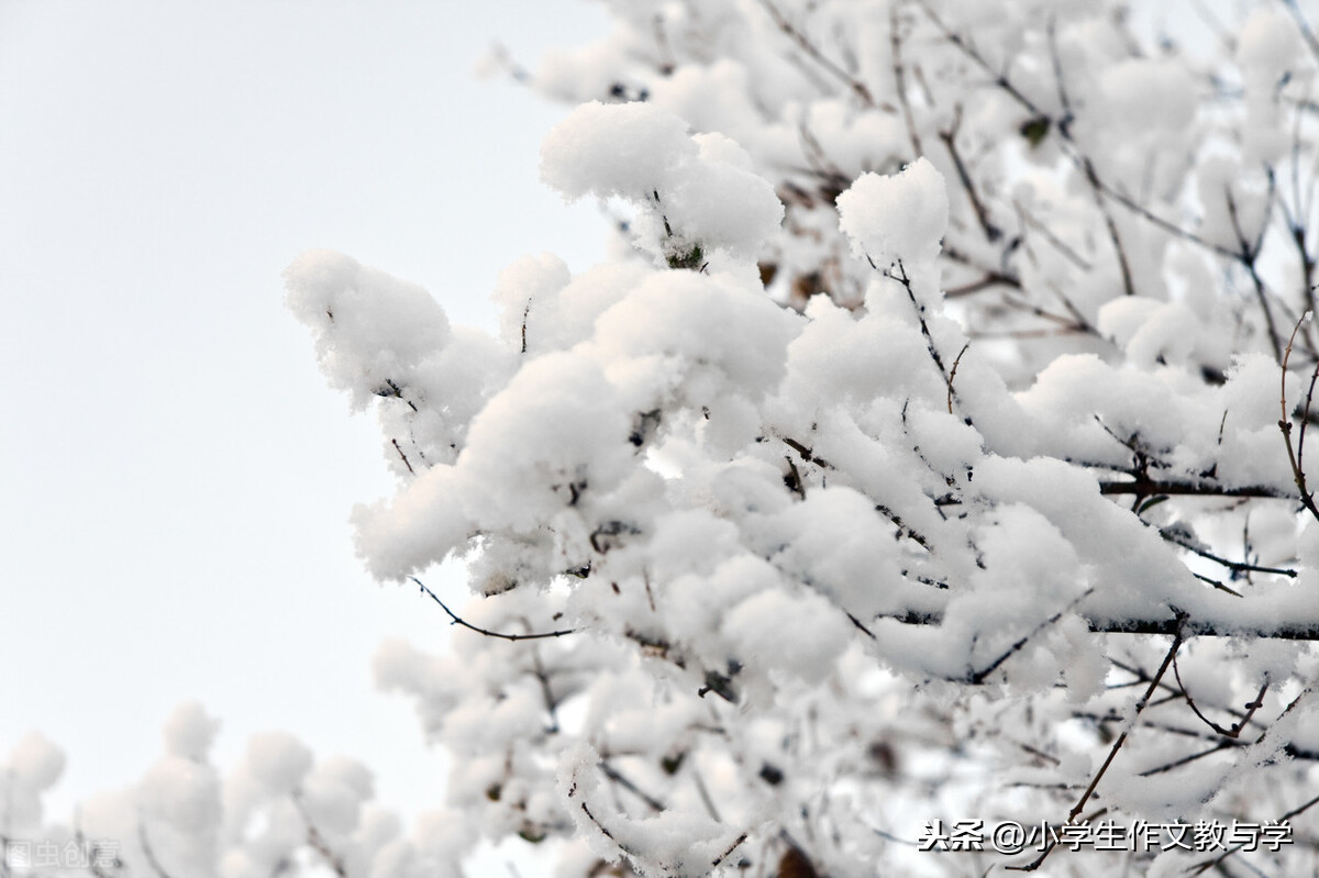 优秀习作-下雪