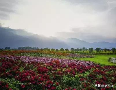 《老人十劝》写的太霸气，太好了！送给我的老同学、老朋友