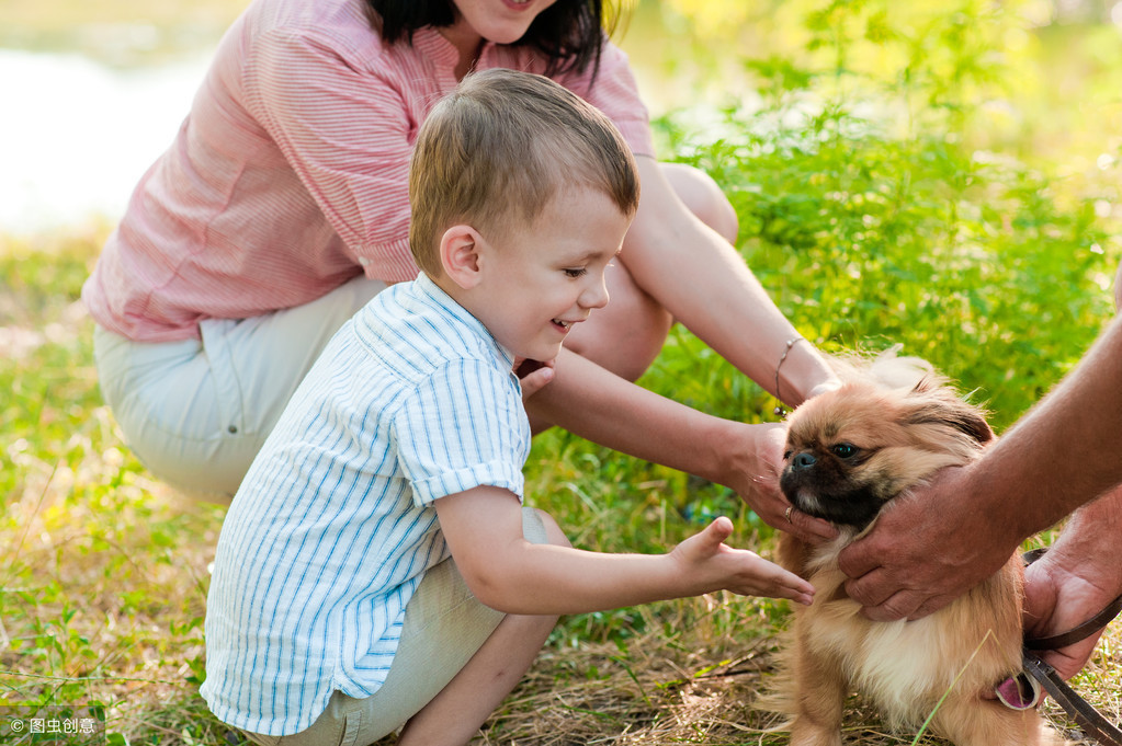 世界卫生组织：狂犬病40%为15以下儿童，危险性极高，家长要注意