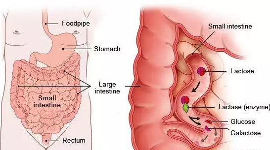 宝宝所谓“生理性腹泻”，不要管它，真的是这样吗？