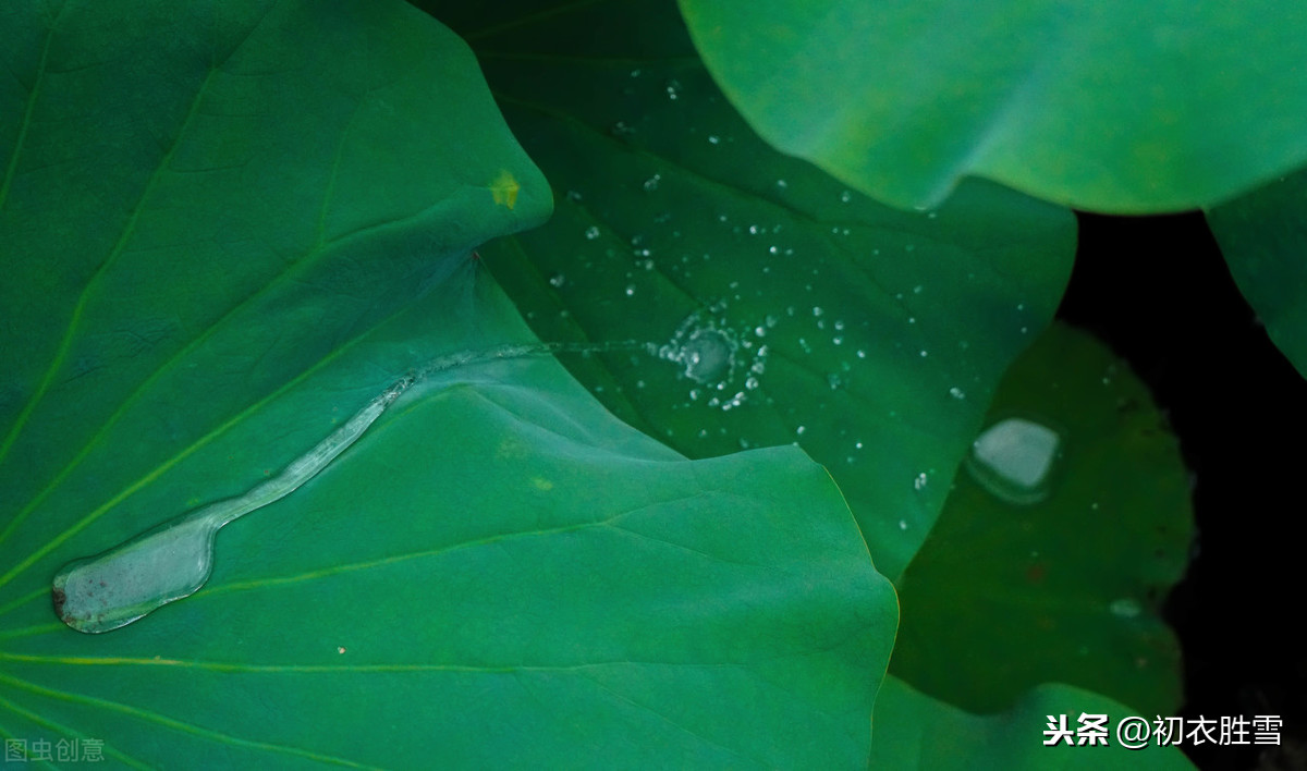 夏雨美诗十首：雨过河源隔座看，青玉盘中泻水银