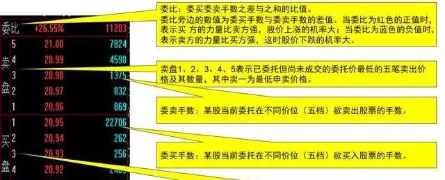 股票基础知识培训（一）——内含大量干货！新老股民都值得收藏