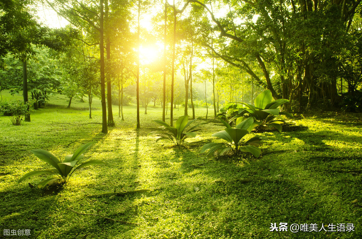 遇见，珍惜，经典12句人生哲理，唯美人生语录