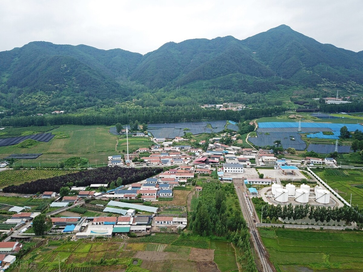 浙江农业大学(浙江农学院)--浙江化工学院(乌溪江化工学院)