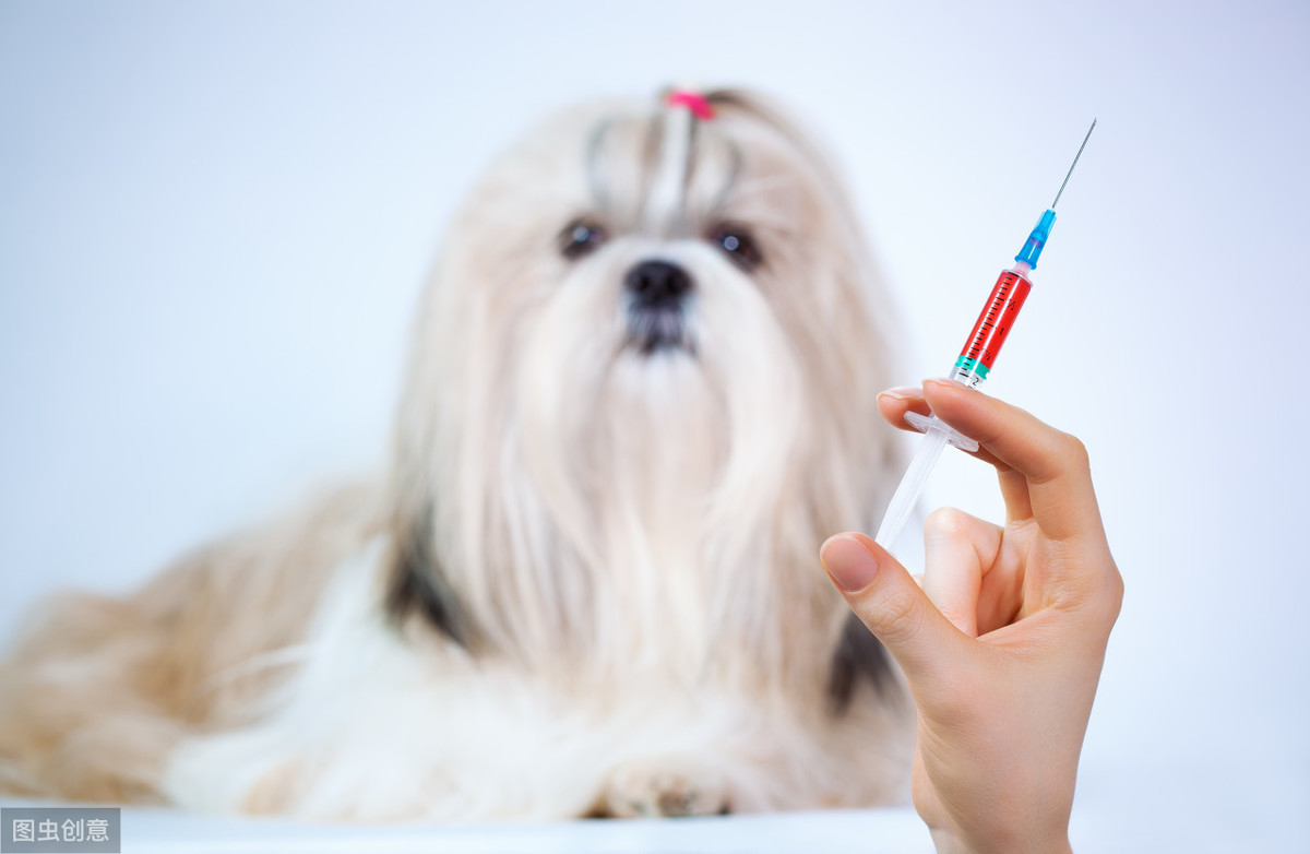宠物医院都在推荐给狗打进口八联疫苗，是为了多赚钱还是另有所图
