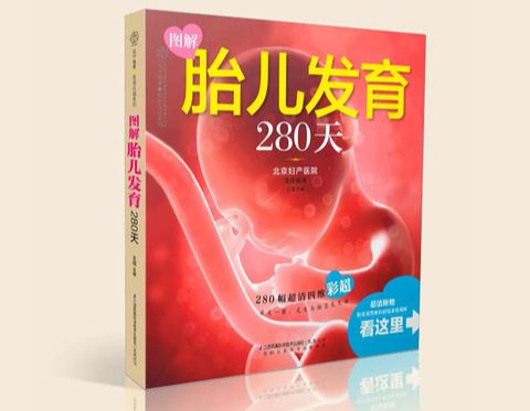 怀孕100天内，宝宝这两处已成型，孕妈各有几个注意事项