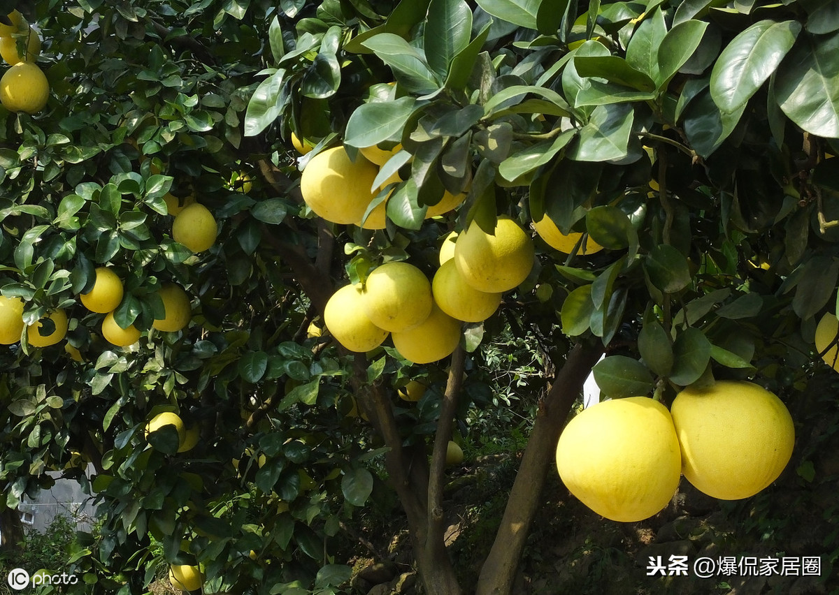 空气净化器有没有必要买步骤9