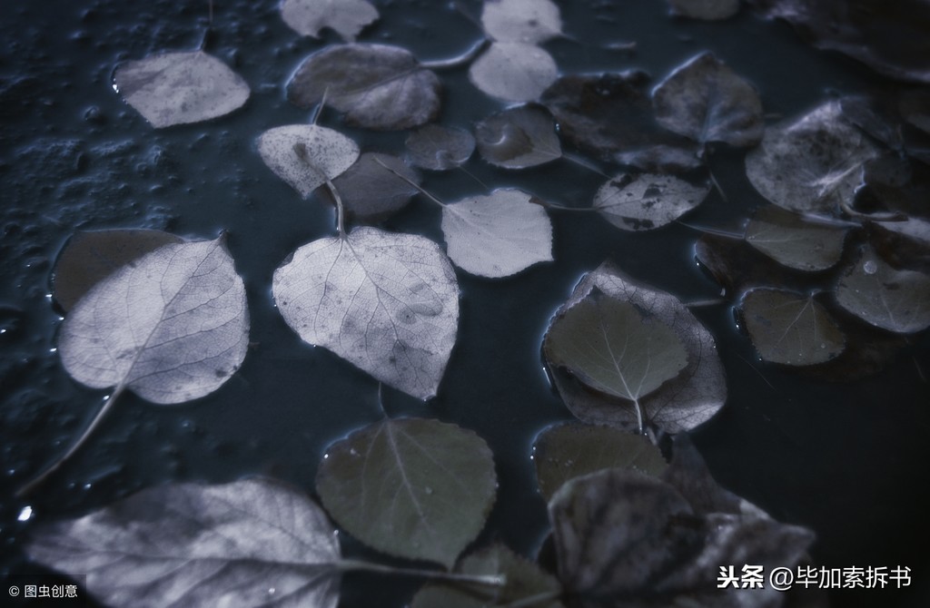 《骆驼祥子》精彩段落赏析 祥子自暴自弃