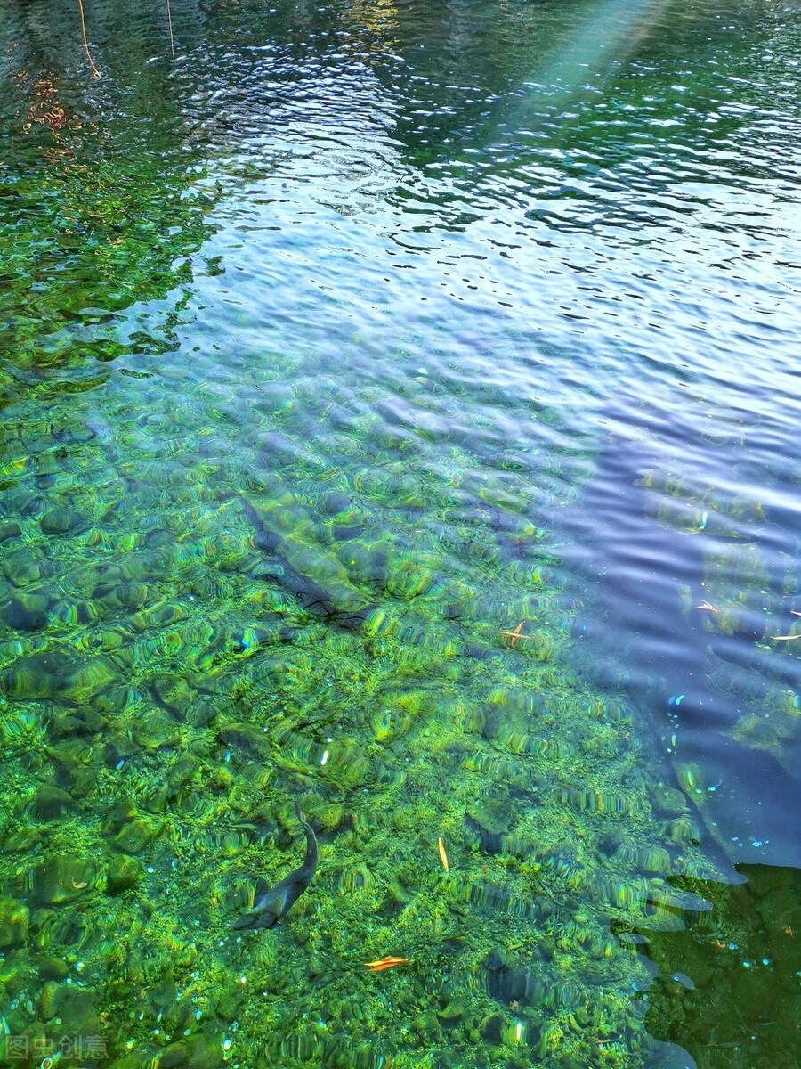 《济南的冬天》，跟老舍先生学写作：写景既要抓特点又要有情感