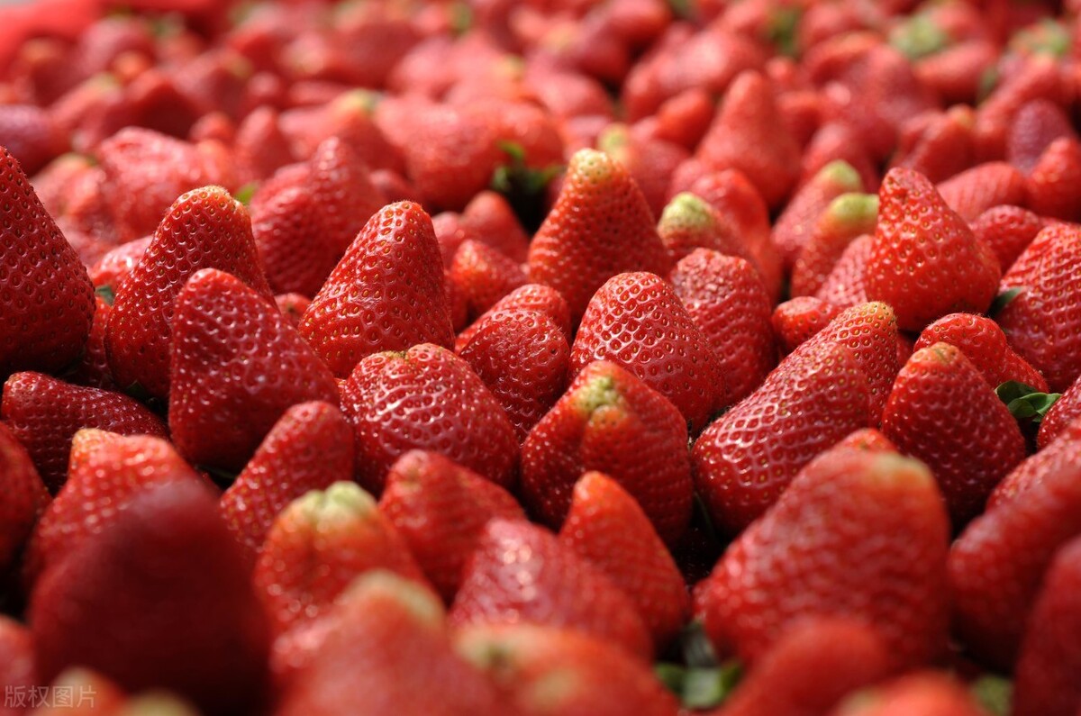 车厘子之后，草莓跌到10元一斤，高端水果今年咋回事？