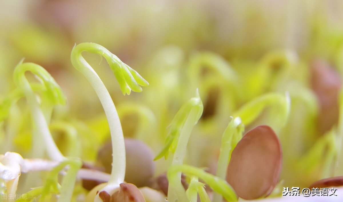 种植让生活更美好