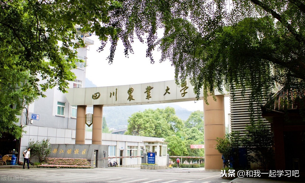 都江堰大学有哪些大学（3所堪称211性价比之王的大学）