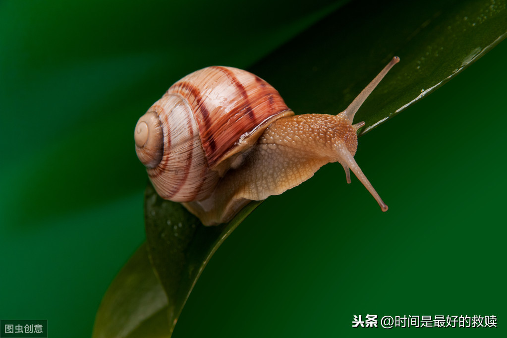 ​做人，宁愿装傻，切勿自作聪明！