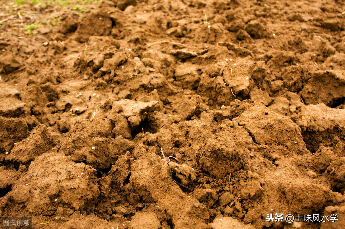 金木水火土，仅掌握五行就能预测