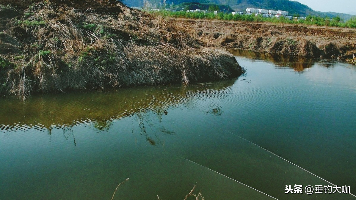 大师的东北角钓位一定香？这种钓位不但不香，还有可能臭到没鱼