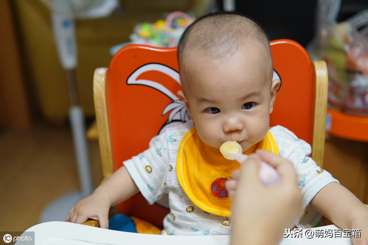 八个月宝宝辅食食谱大全及做法 - 幼儿食谱 - 蓝灵育儿网