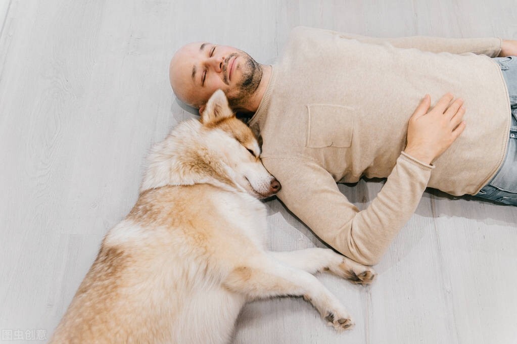 狗喜欢和主人“睡觉”，原来有这6大原因