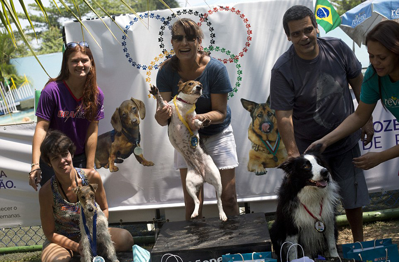 竞技犬多久融入奥运会(巴西办狗狗奥运会 奥运激情有增无减)