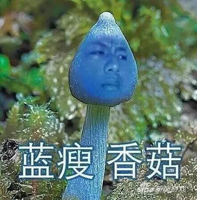 蓝瘦 香菇,蓝瘦香菇图片