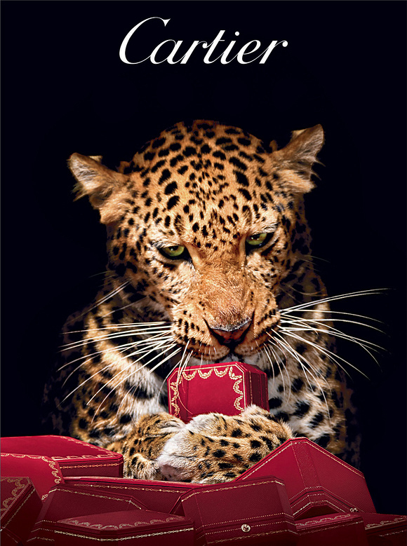 卡地亚love系列,你所不知的爱情誓言.