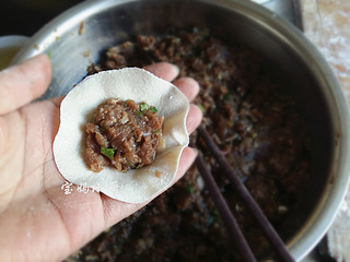 马肉馅饺子可以掺啥菜(马肉馅水饺)