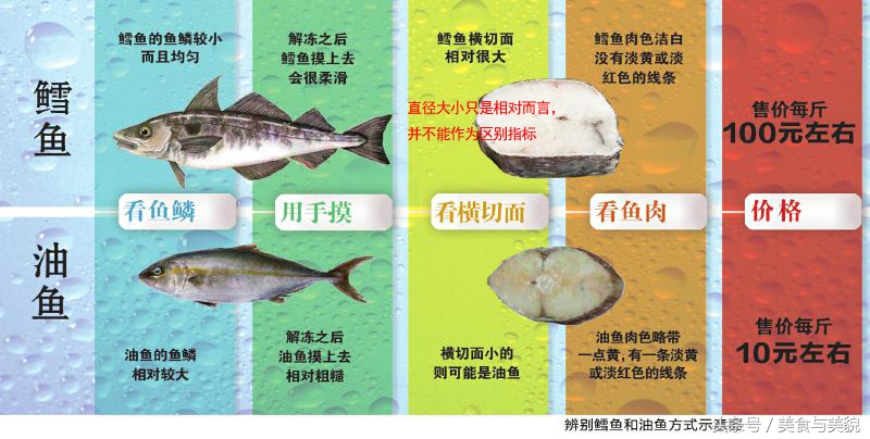 揭秘 海鮮中的李逵和李鬼們 之銀鳕魚 迄今最全最專業貼 天天看點