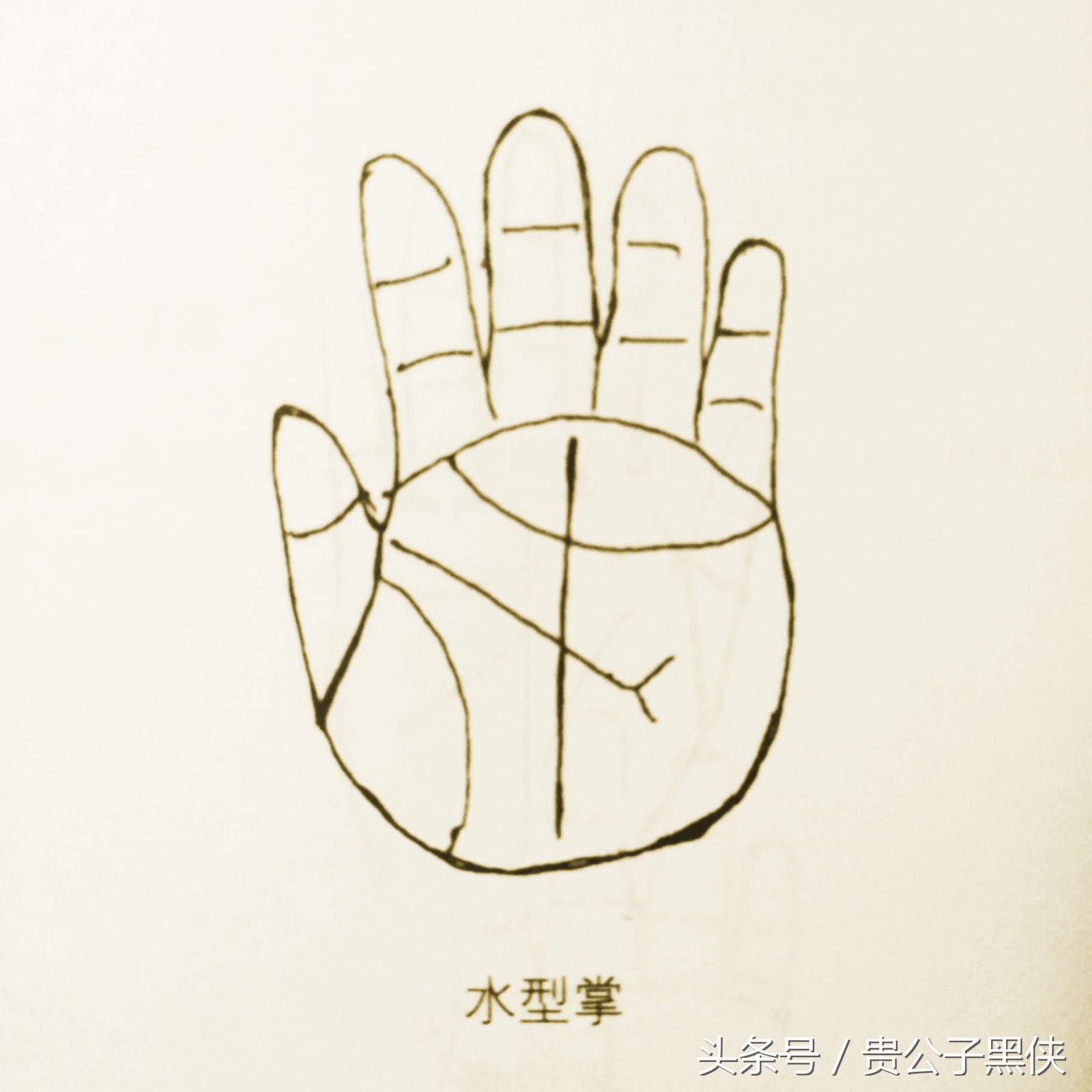 学会看手相不求人,张口敢说你就是神算!