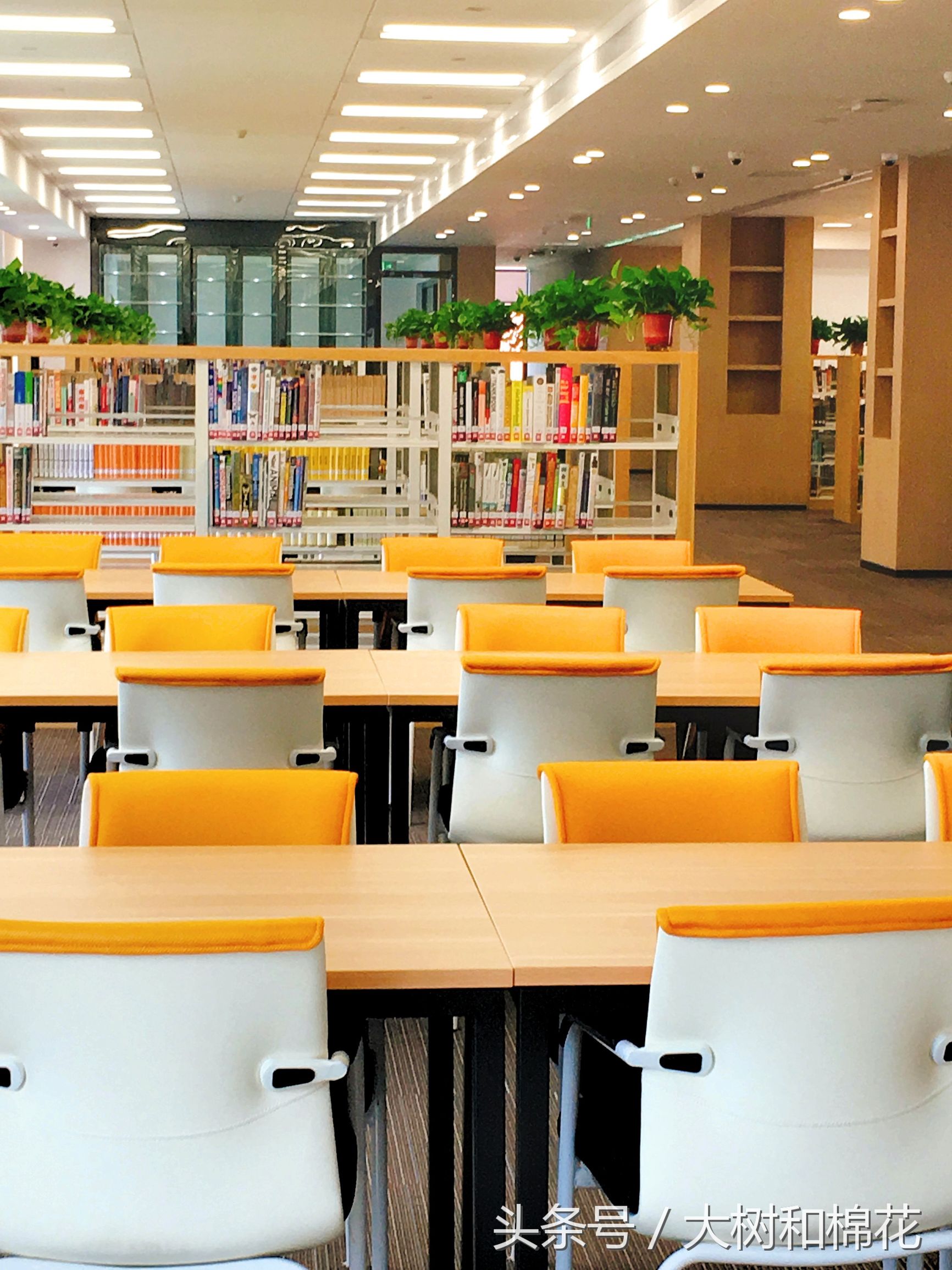 参观完南京顶级每年学费20万贝赛思Basis国际学校，让我思绪万千