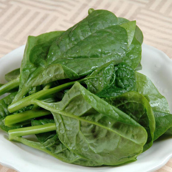 8种"大叶菜",立春"赶紧种"阳台上,20天就采摘