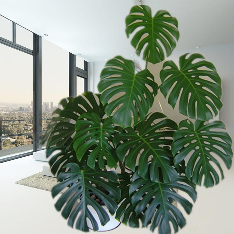 客厅最旺宅的大型植物（吸废气造氧气，旺家又吉利）-第31张图片