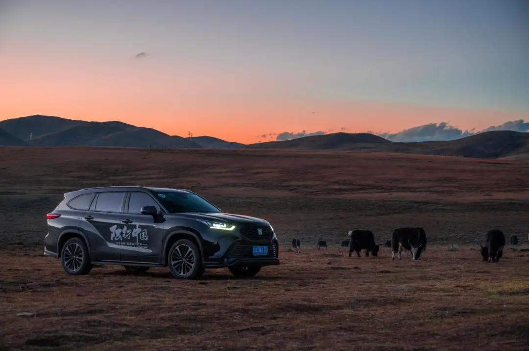 丰田汉兰达和皇冠陆放，究竟有哪些异同？