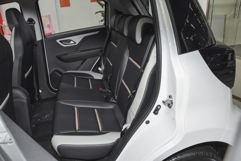 思皓花仙子系列之——蒲公英