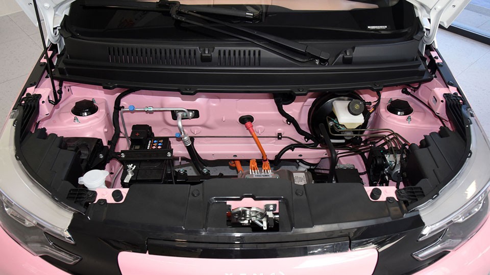 雷丁芒果Pro月養車5百，比起五菱，新保險才是勁敵