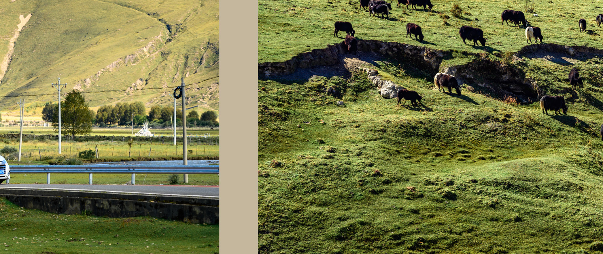 拥有一套优秀的轮胎就拥有了？