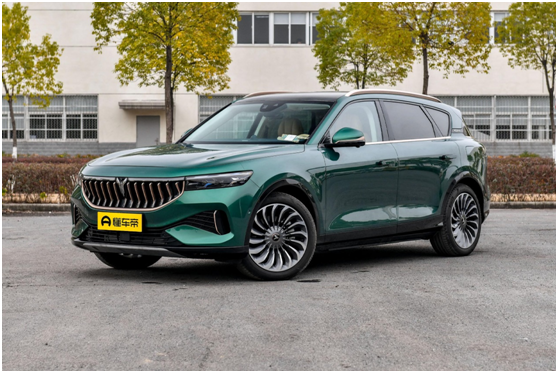 30万级别的新能源车，岚图FREE、特斯拉Model Y和蔚来ES6该选谁