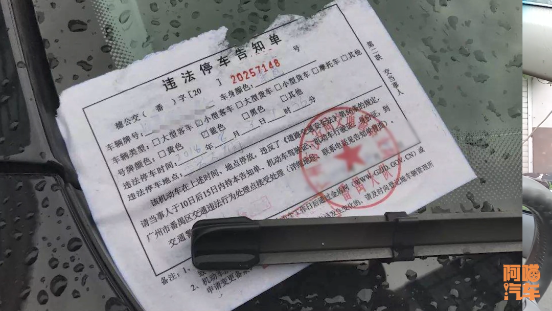 开车十年无扣分罚款，看喵哥是如何做到的，全都告诉你