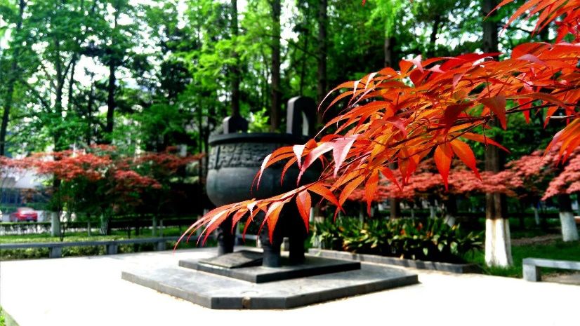 南京大学，生日快乐！