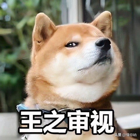 当天蝎遇上处女，谁是细节王