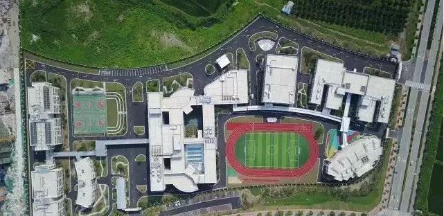 魔都神话：在上海，“上中系”真的那么高不可攀吗？