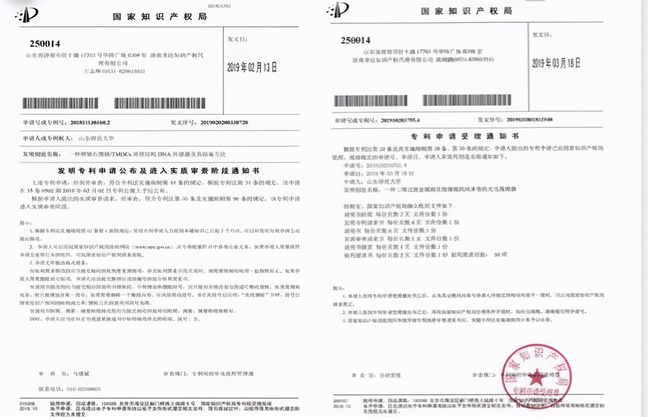 山东“大神级”班级：44人考研上岸，发表多篇SCI，斩获国际大奖