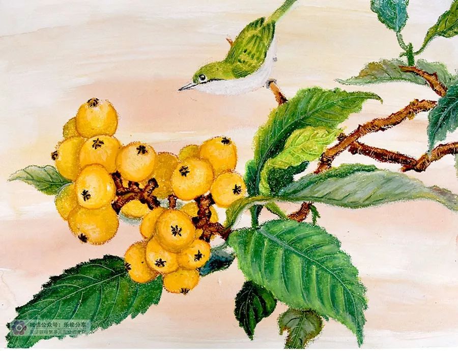 教你用油画棒画黄灿灿的枇杷 油画棒绘画枇杷教案 - 情书号